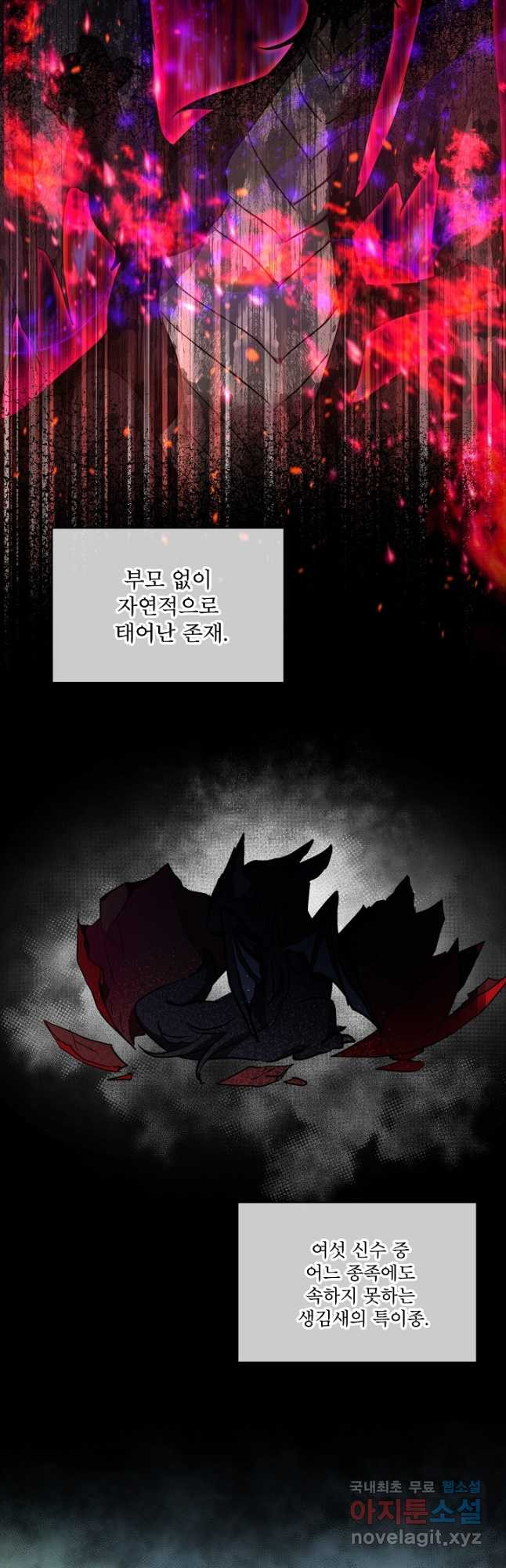 아기 신수로 환생했습니다 22화 3