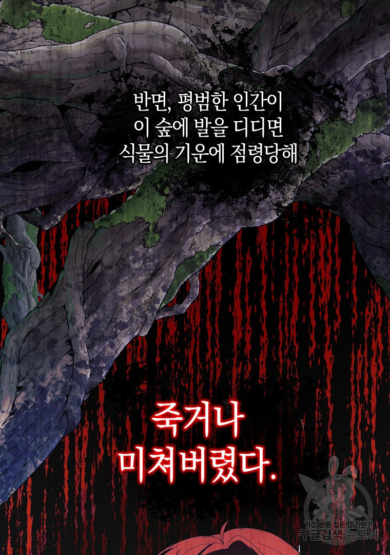 아델린의 깊은 밤 12화 17