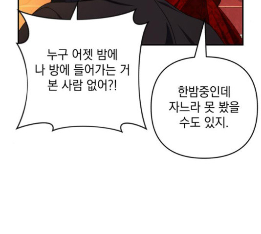북부 공작님을 유혹하겠습니다 27화 26