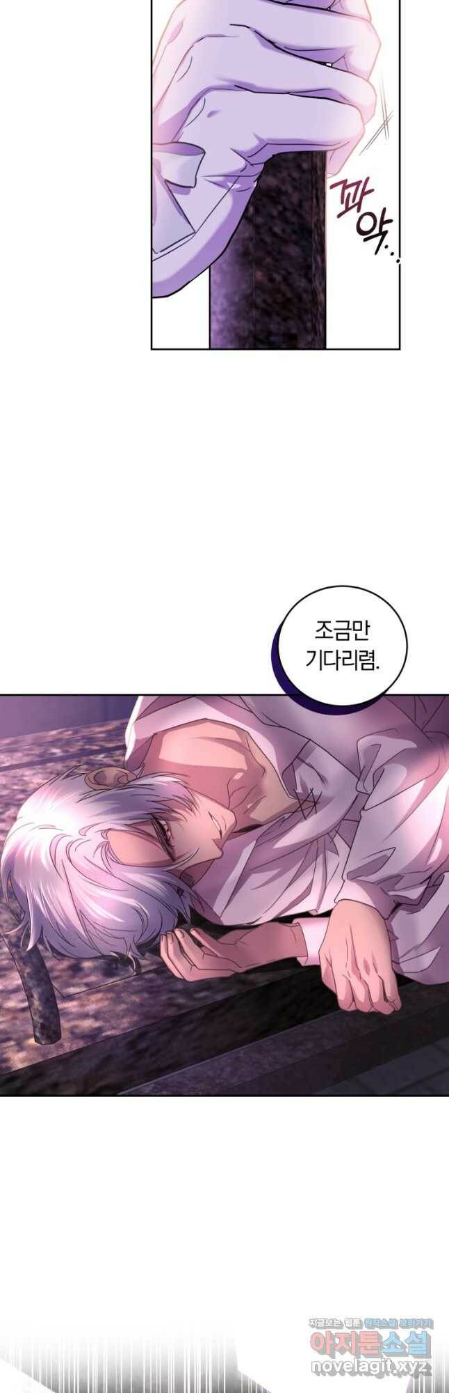 폭군의 유일한 조향사가 되었습니다 69화 42