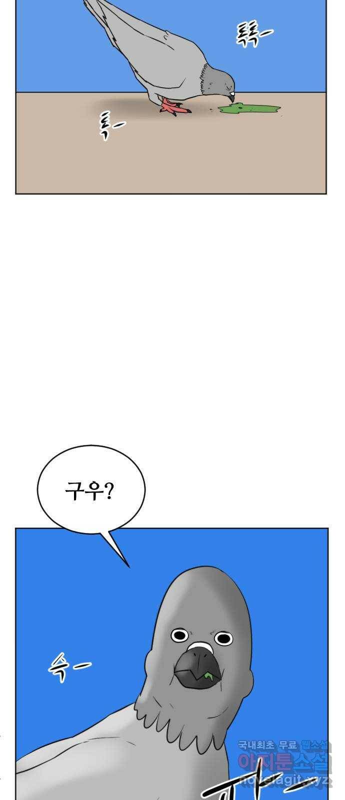 언덕 위의 제임스 355화 비둘기 전쟁 (1) 7