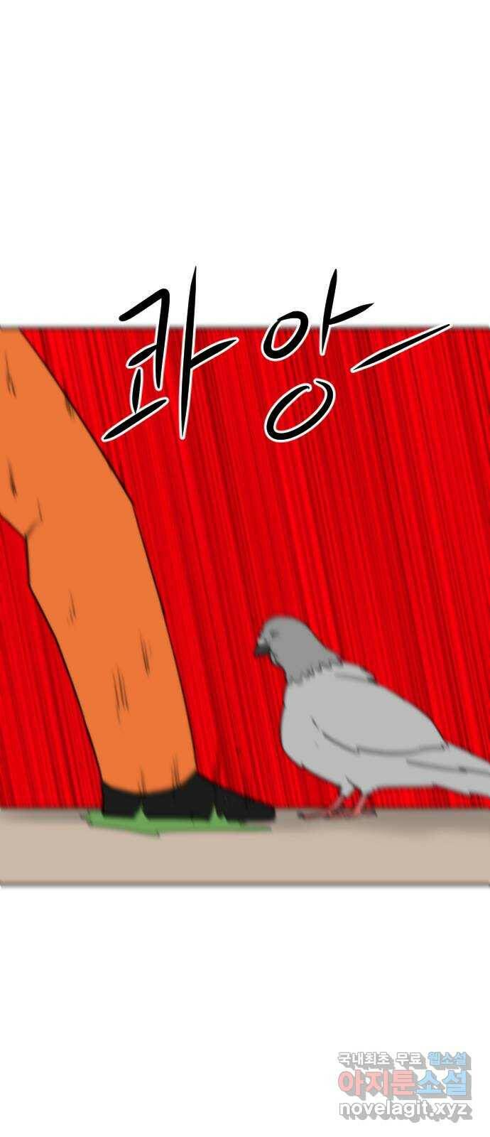 언덕 위의 제임스 355화 비둘기 전쟁 (1) 11