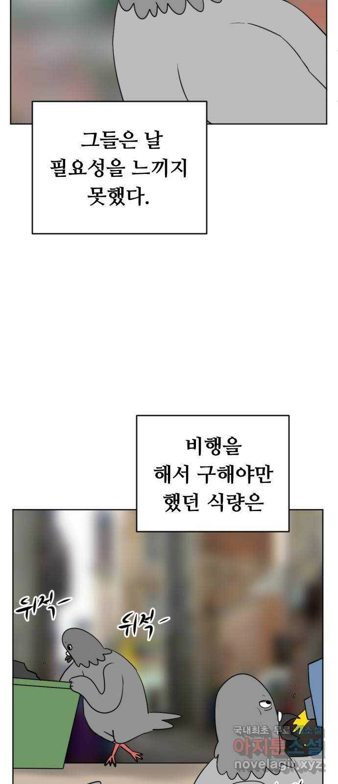 언덕 위의 제임스 355화 비둘기 전쟁 (1) 17