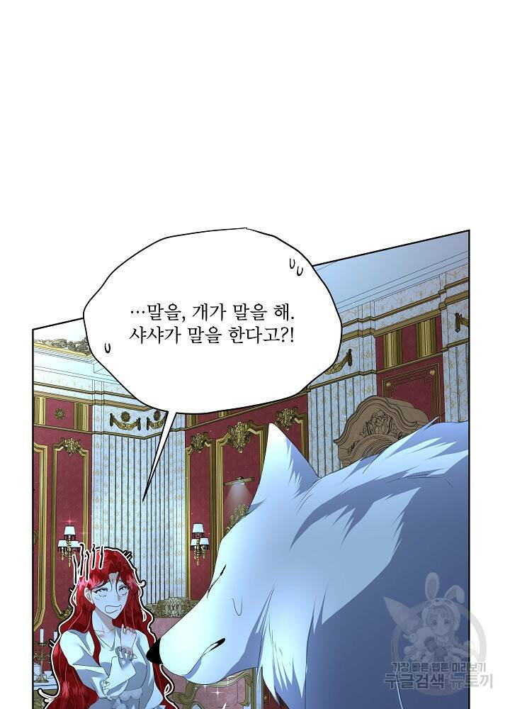 남주를 임시보호 중입니다 9화 66