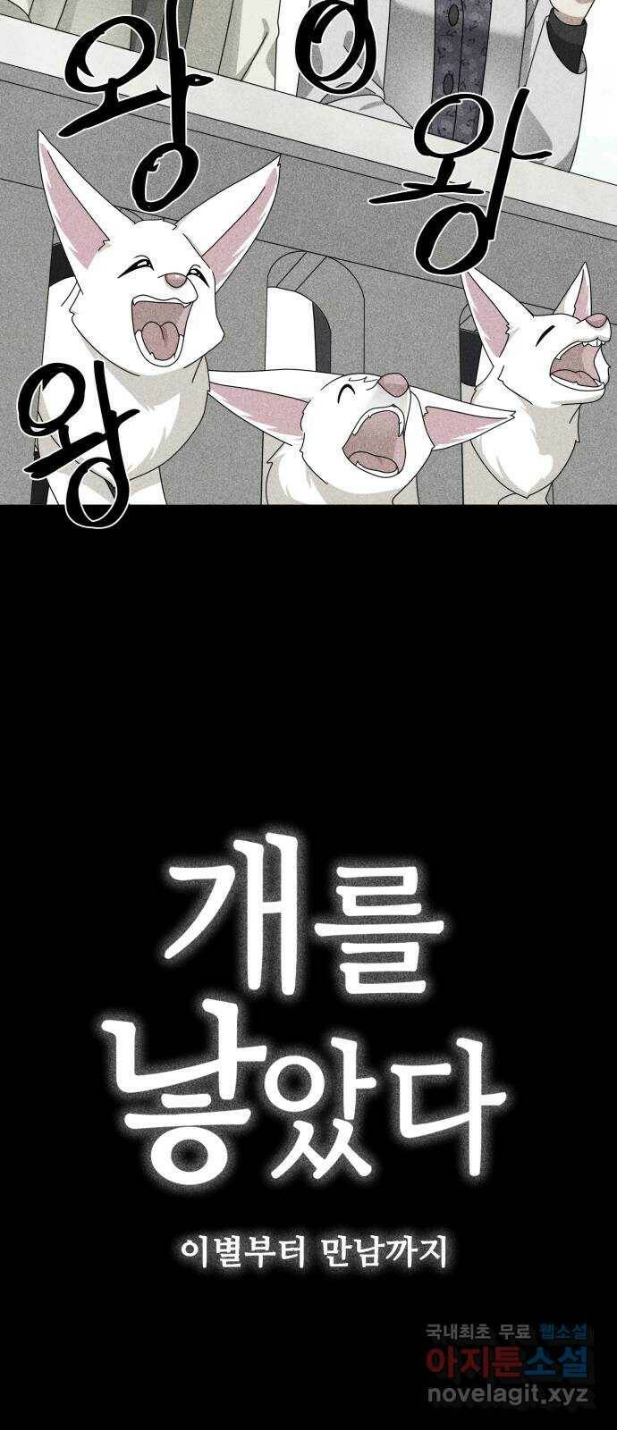 개를 낳았다 시즌2 124화 3