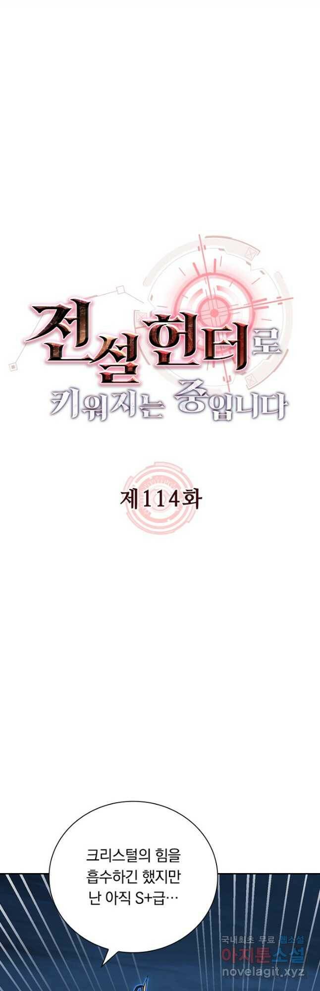 전설 헌터로 키워지는 중입니다 114화 8