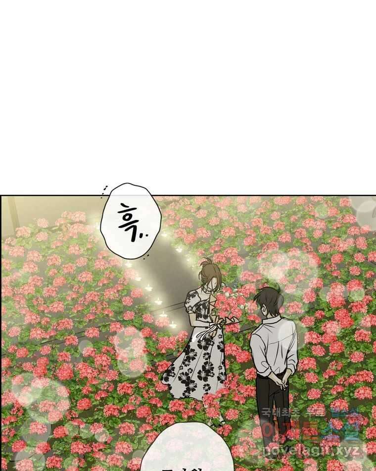 신랑이 사라졌다 72화 축하 79
