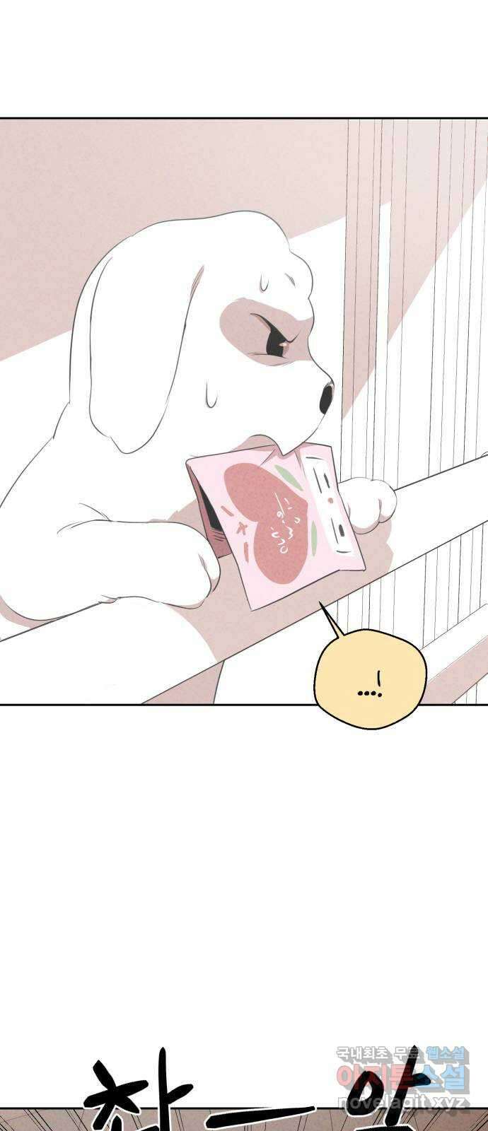 개와 사람의 시간 32화 16