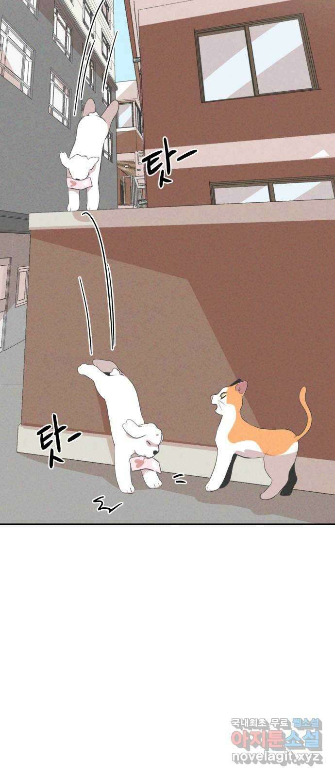 개와 사람의 시간 32화 39