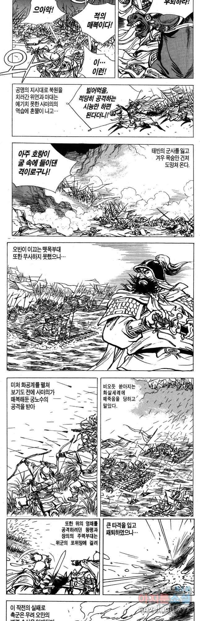 박봉성 삼국지 4부 17권 6