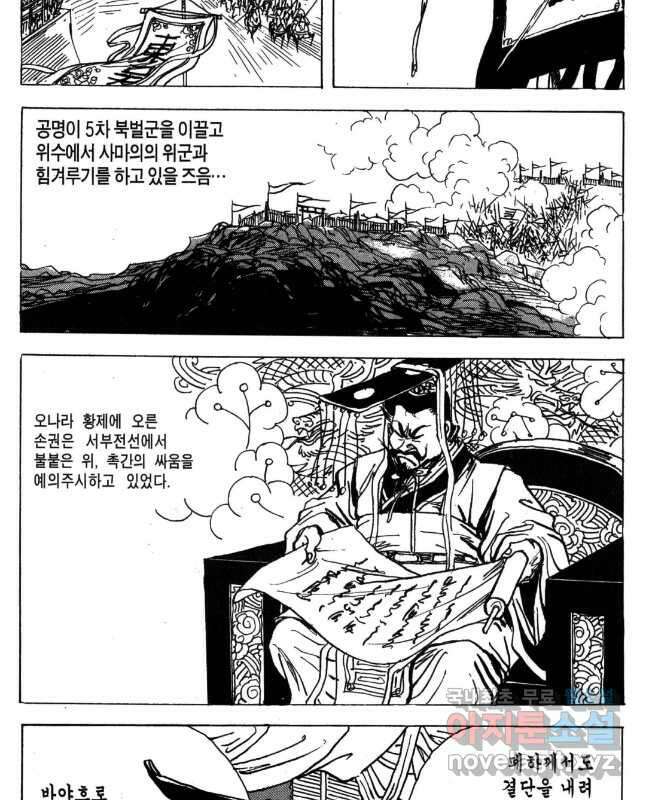 박봉성 삼국지 4부 17권 15