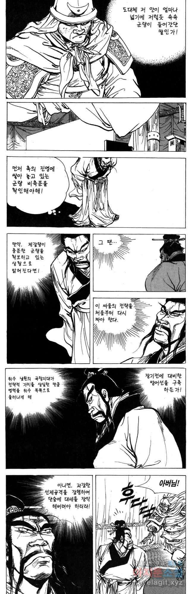 박봉성 삼국지 4부 17권 62