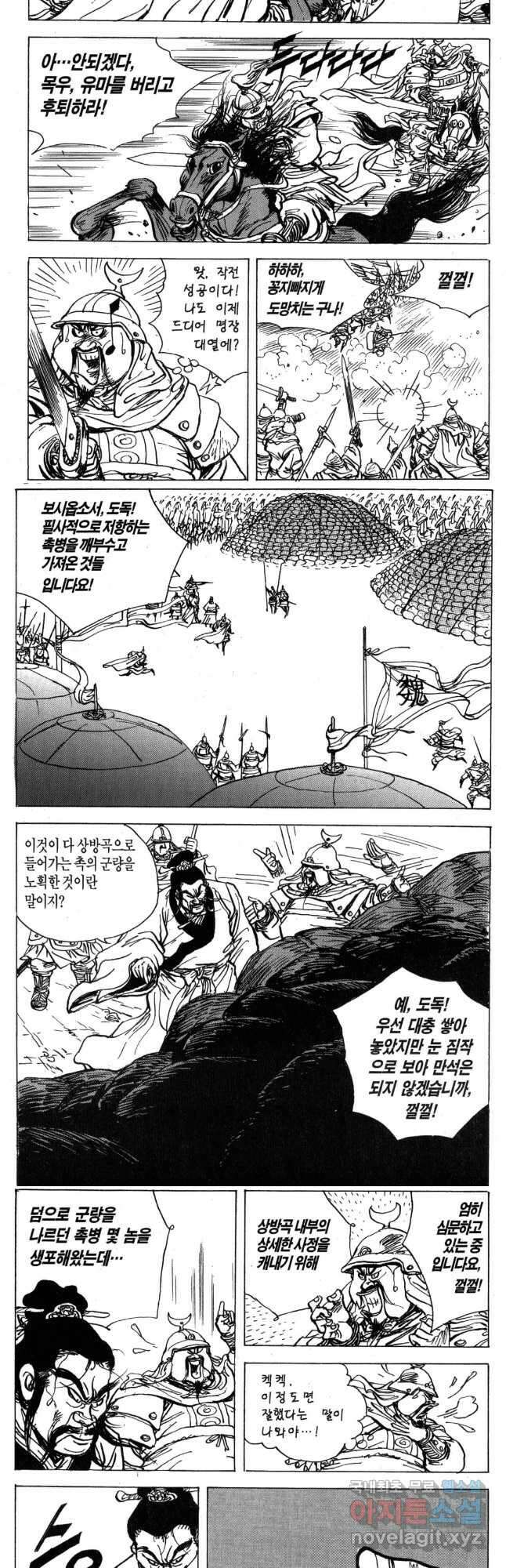 박봉성 삼국지 4부 17권 65