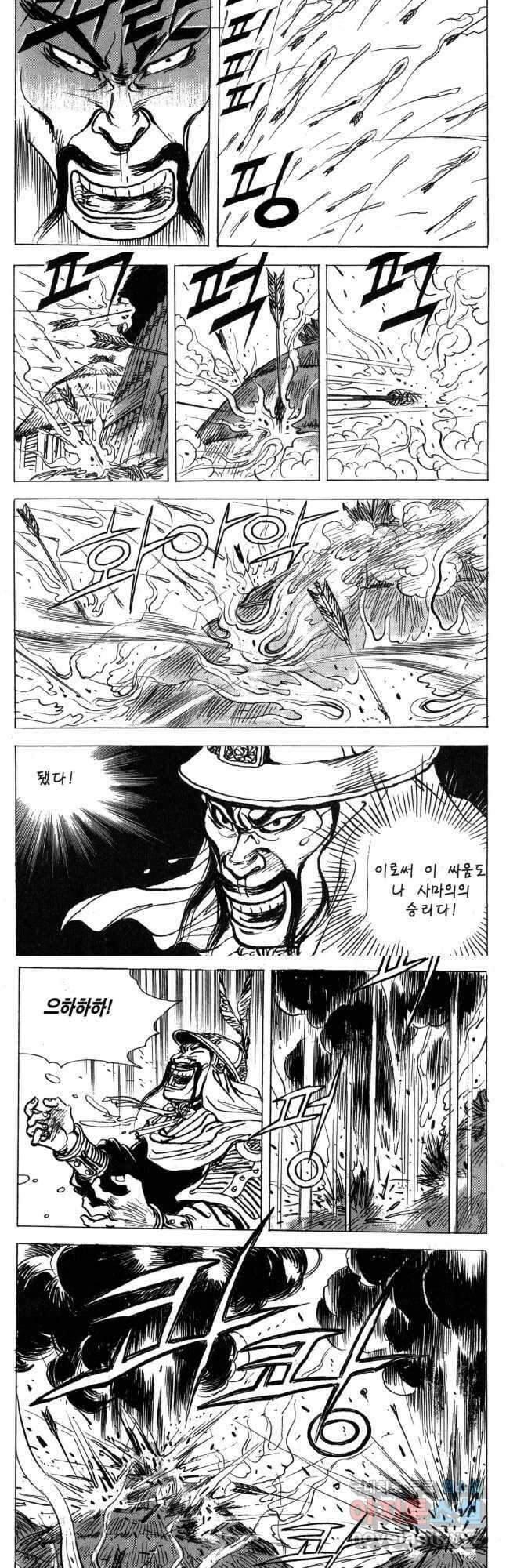 박봉성 삼국지 4부 17권 81
