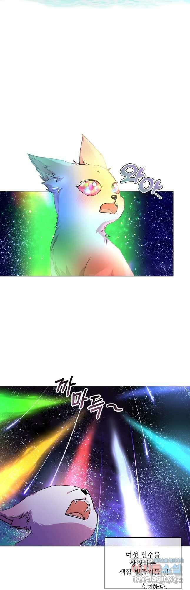 아기 신수로 환생했습니다 31화 14