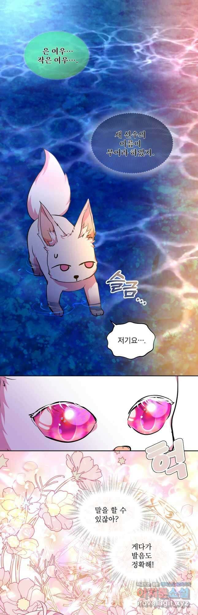 아기 신수로 환생했습니다 31화 19