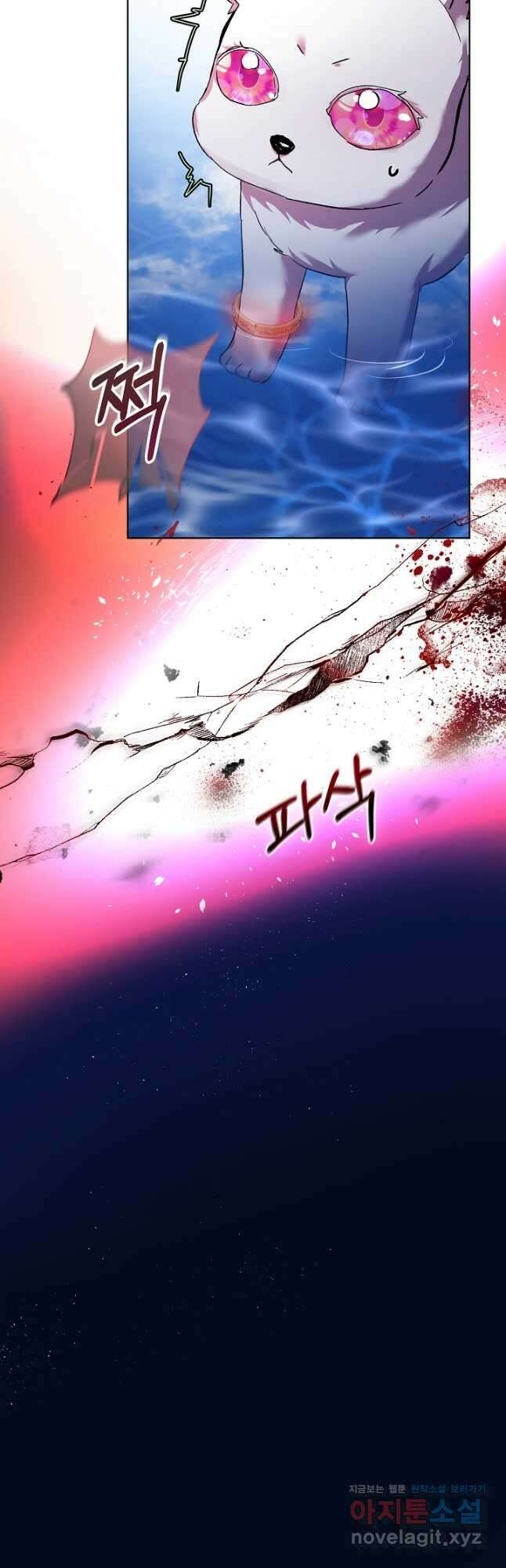 아기 신수로 환생했습니다 31화 27