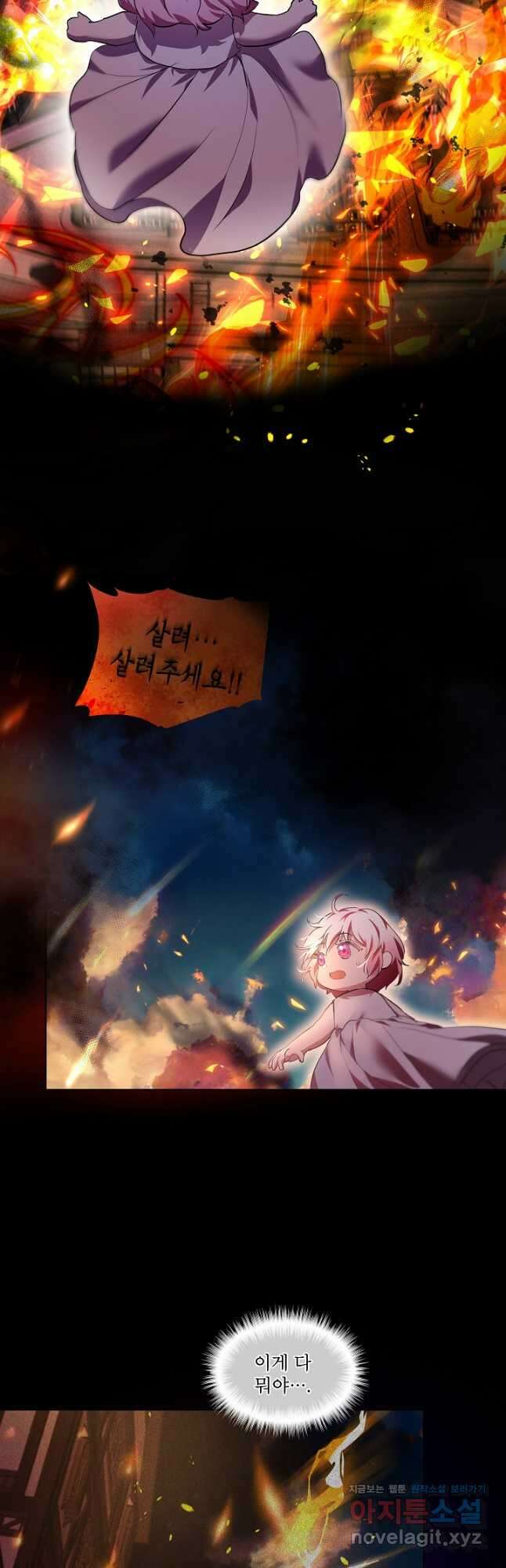 아기 신수로 환생했습니다 31화 39