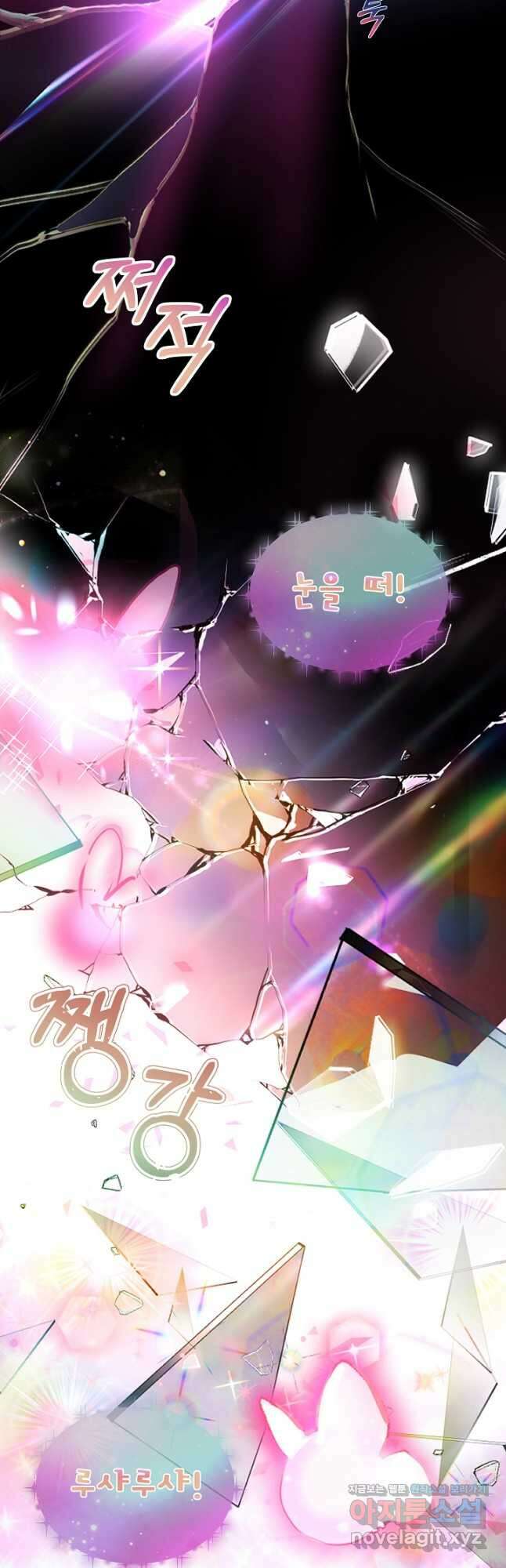 아기 신수로 환생했습니다 31화 44