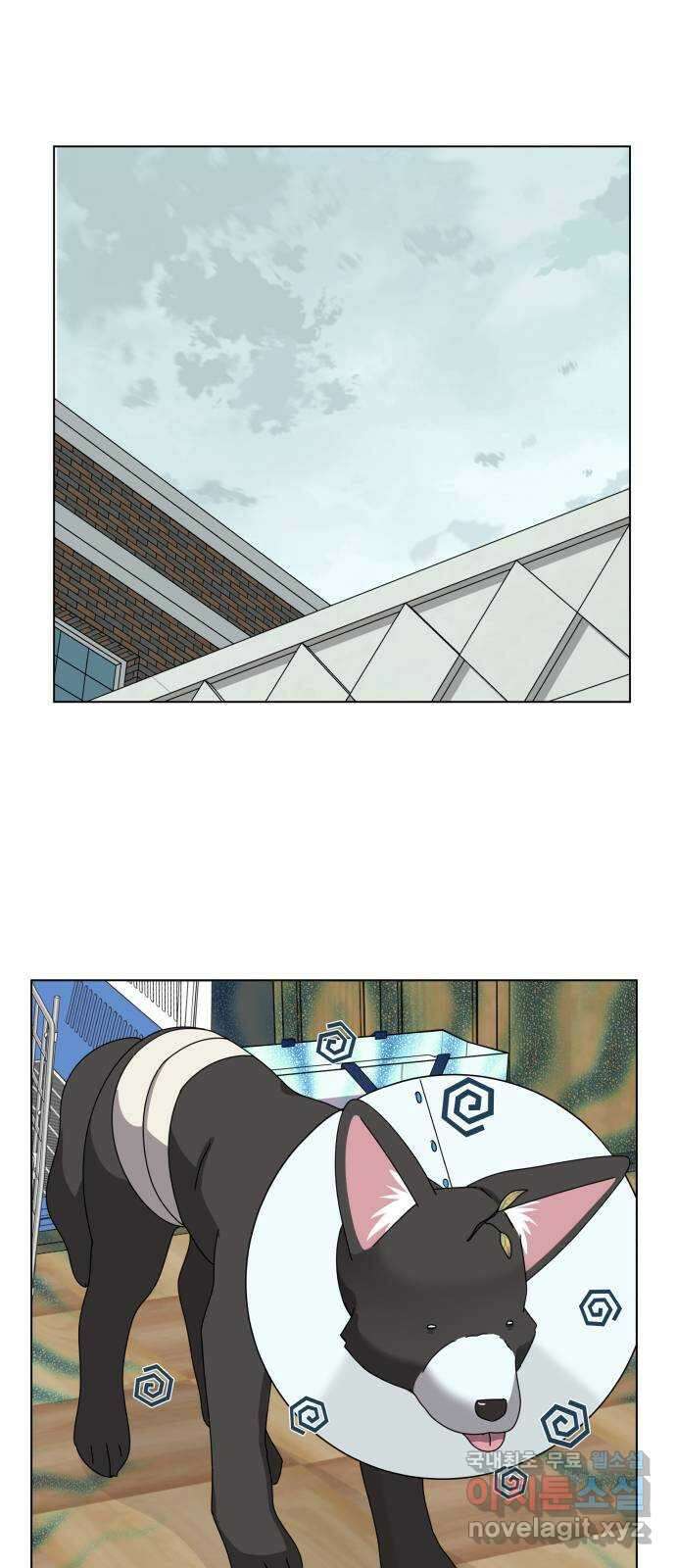 개를 낳았다 시즌2 131화 1