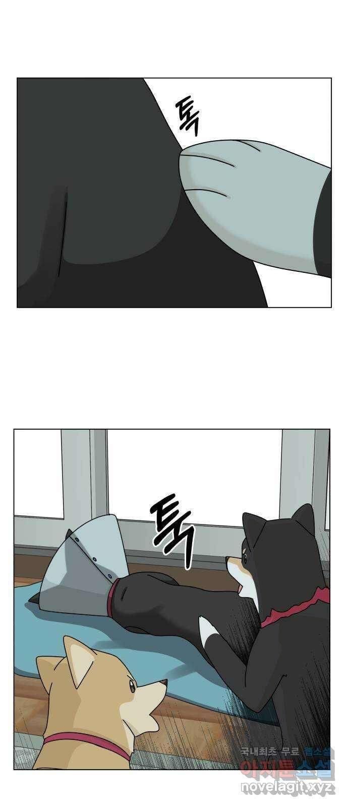 개를 낳았다 시즌2 131화 15
