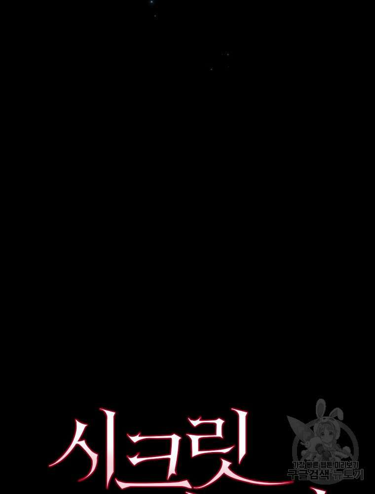 시크릿 레이디 74화 13