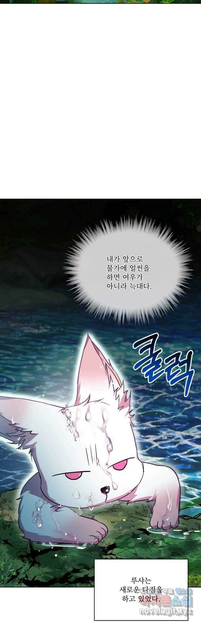 아기 신수로 환생했습니다 33화 2