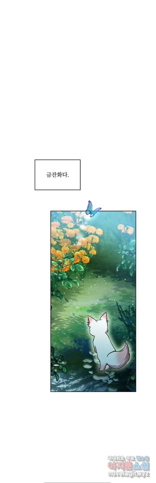아기 신수로 환생했습니다 33화 7