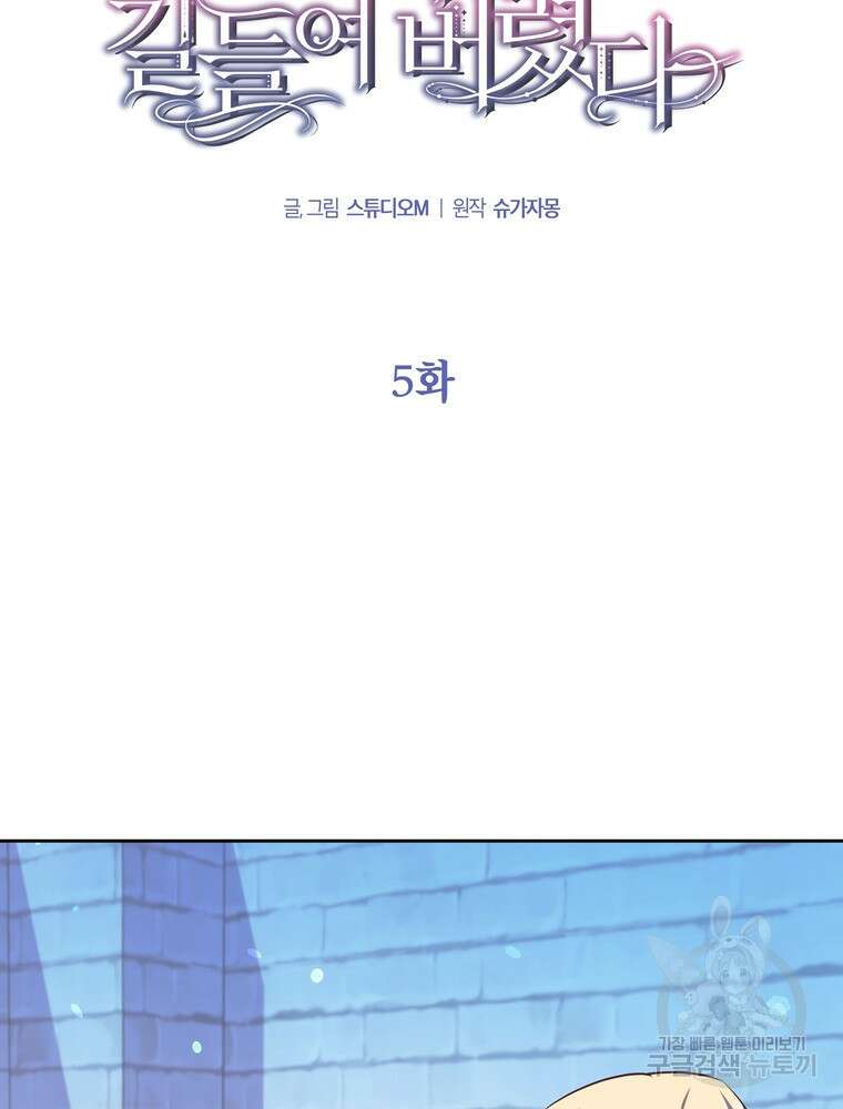 나를 죽일 남주를 길들여버렸다 5화 17