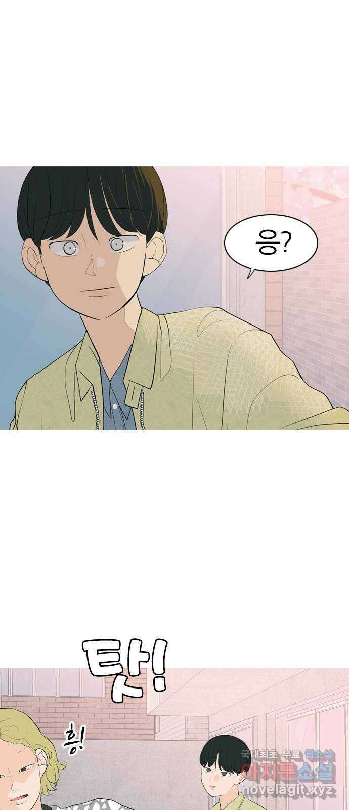 연놈 364화. 꽃 만난 열아홉 (대화) 7