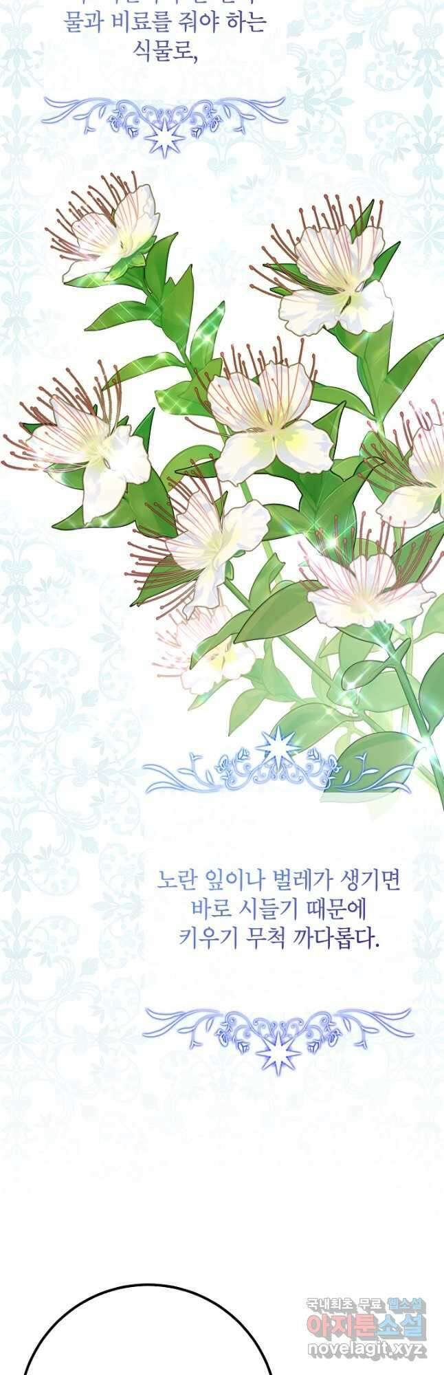 주치의는 할 일 다 하고 사표 씁니다 39화 4