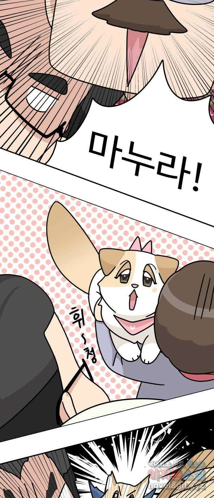 개를 낳았다 시즌2 133화 11