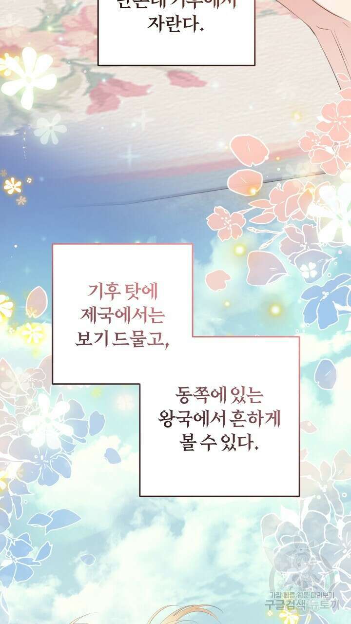 맛본 김에 꿀꺽! 46화 37