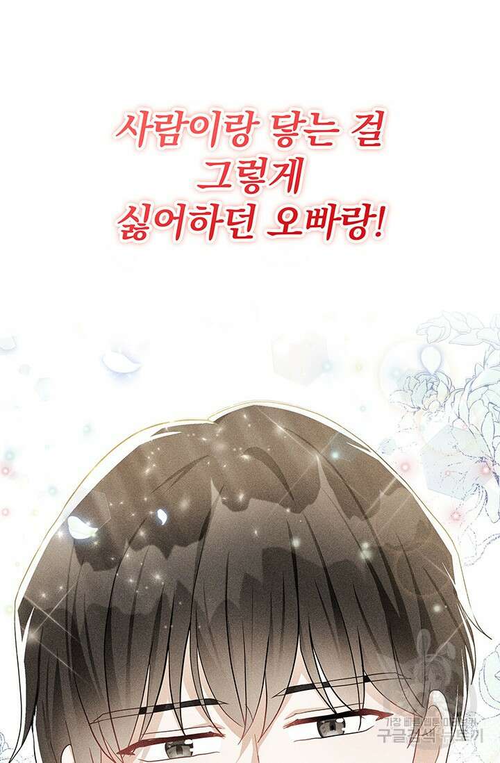 주인공들의 파혼을 막으려 했을 뿐인데 22화 3
