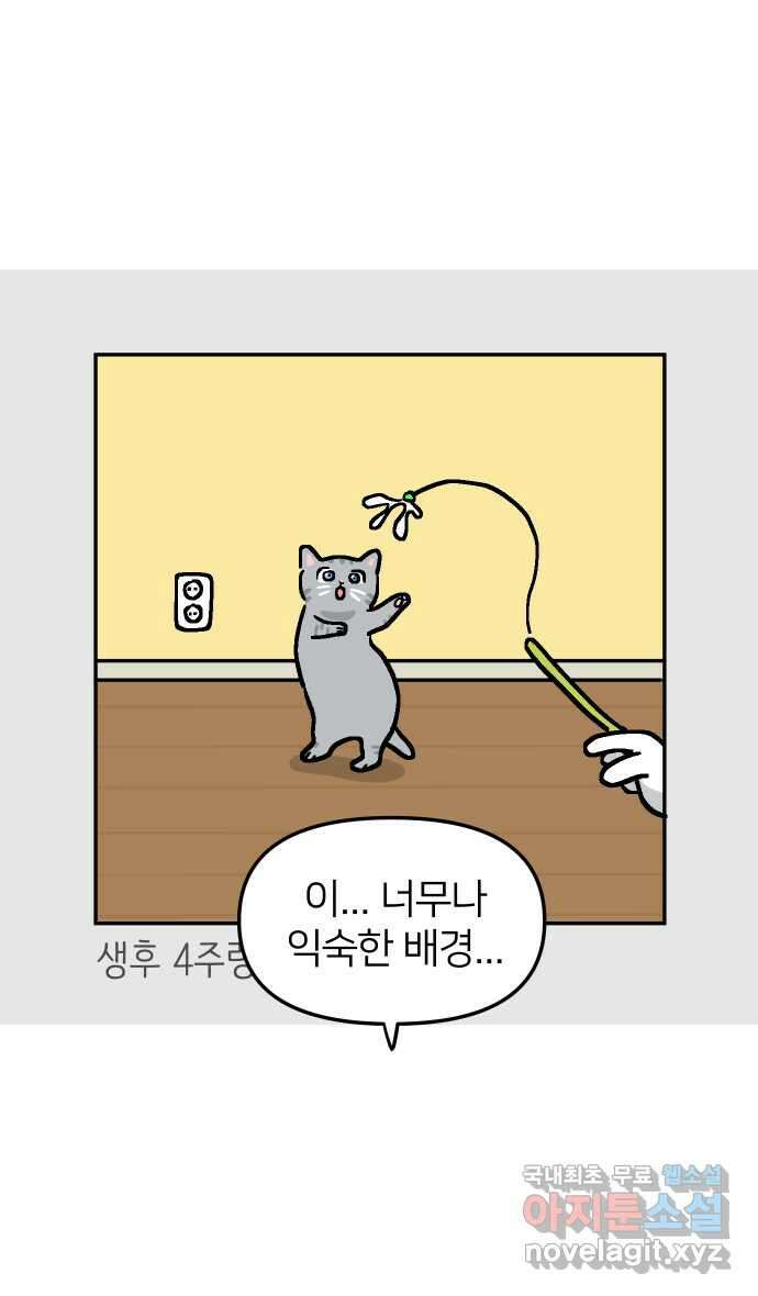 애옹식당 60화 엄마와 스프카레 29