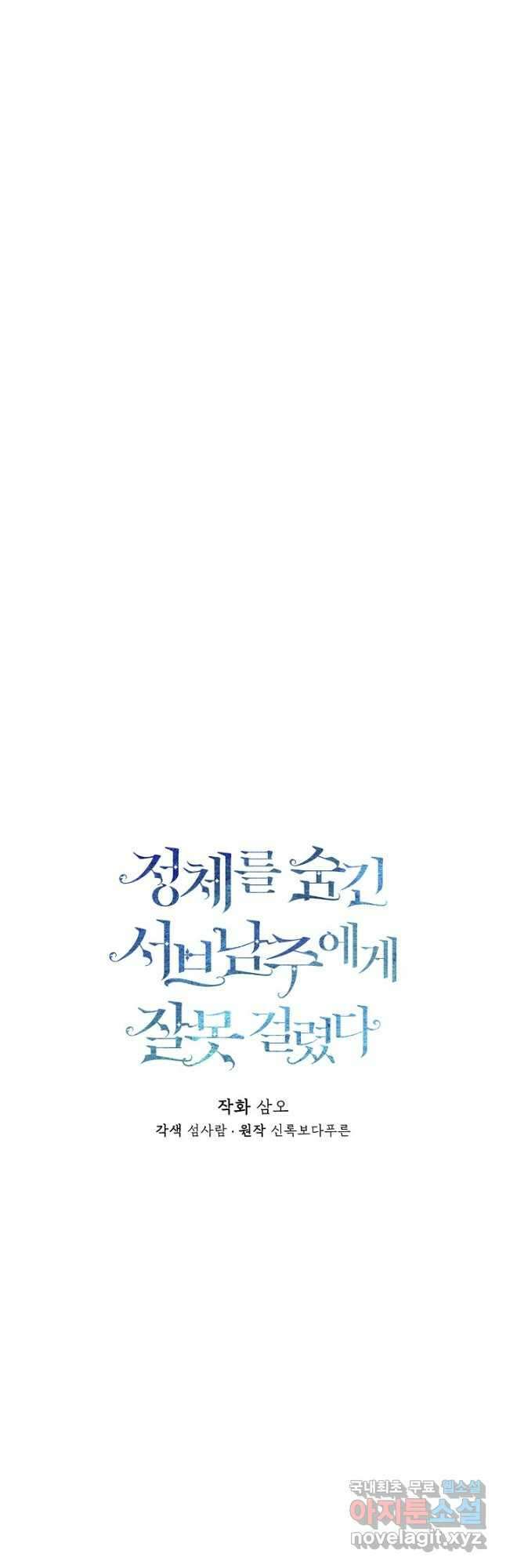 정체를 숨긴 서브남주에게 잘못 걸렸다 29화 4