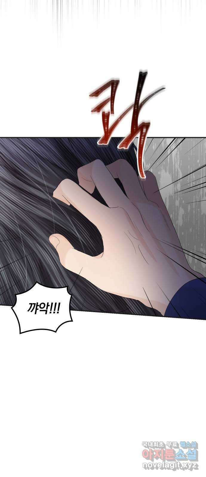 완벽한 결혼의 정석 86화 72