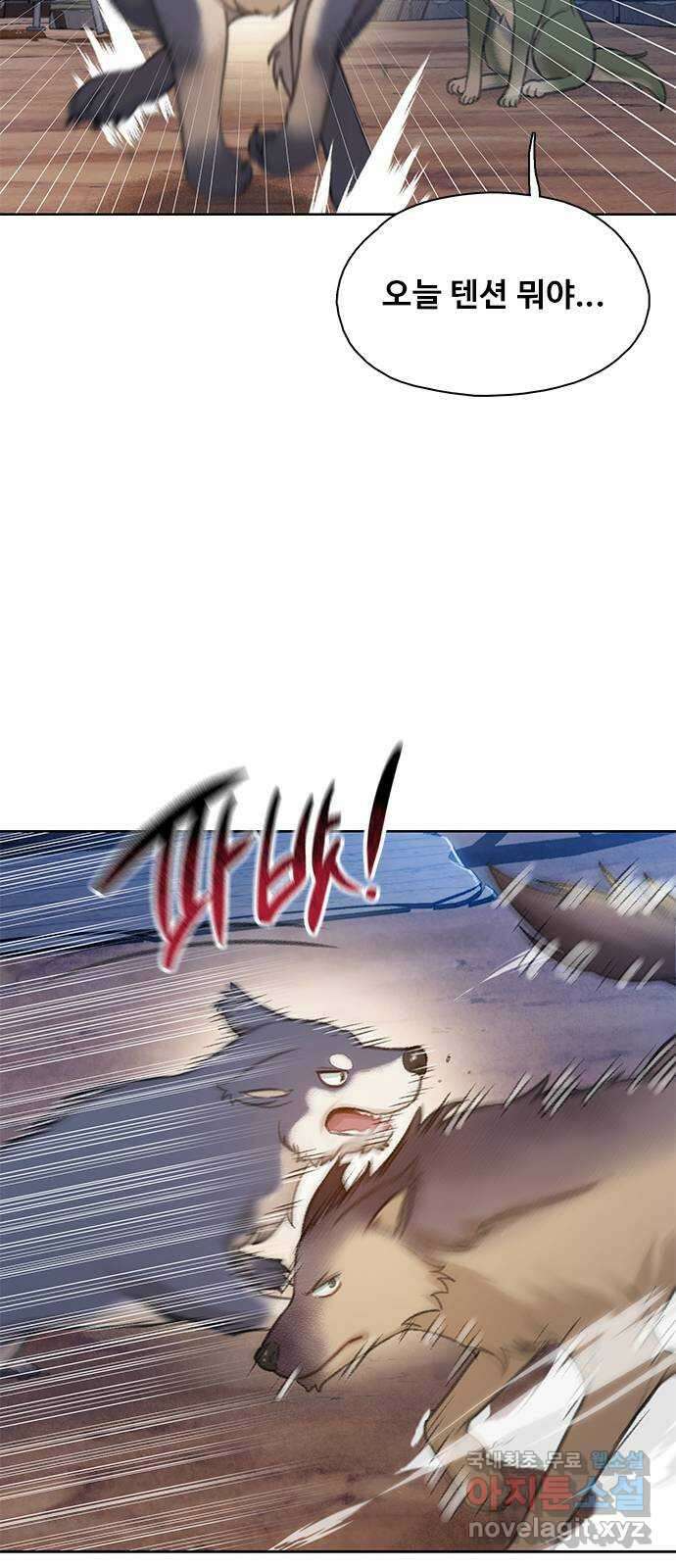 DARK MOON: 회색 도시 13. 실종 15