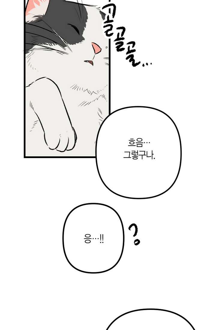 청의 마운드 4화 27