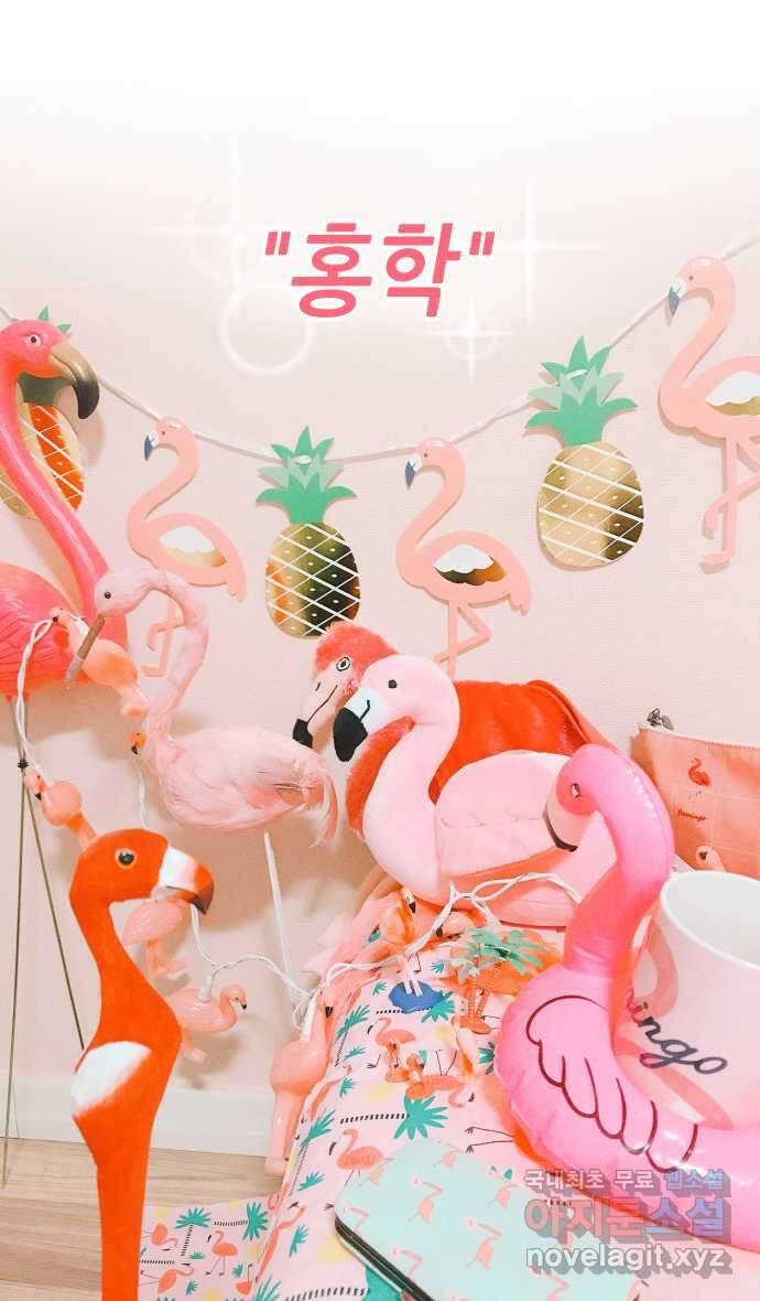 안녕, 나의 수집 58. 홍학 정원장식 5