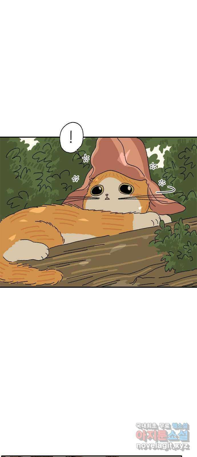 고양이 타타 11화 34