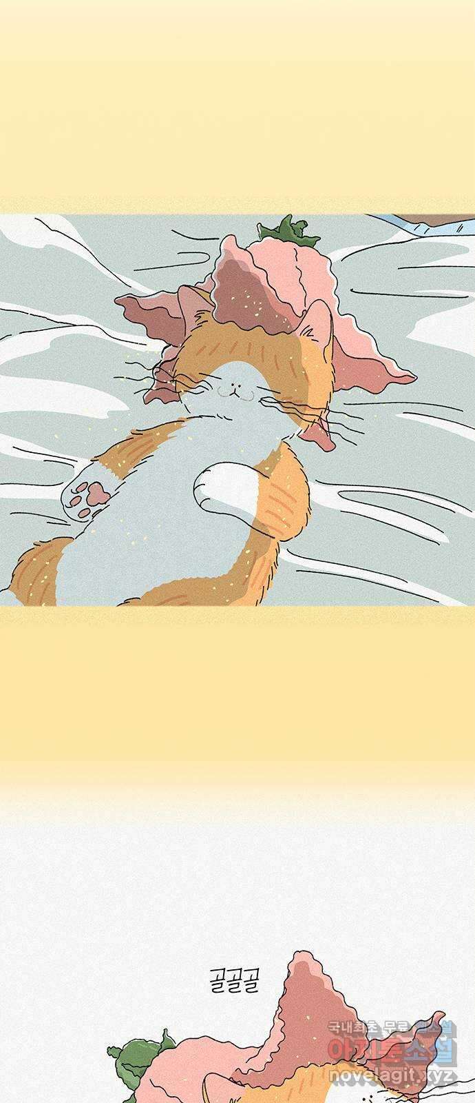 고양이 타타 11화 41