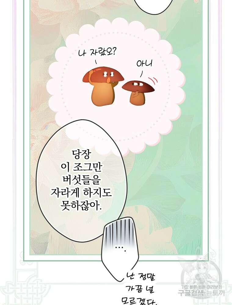 시크릿 레이디 1부 외전 잊혀진 이야기(1) 62