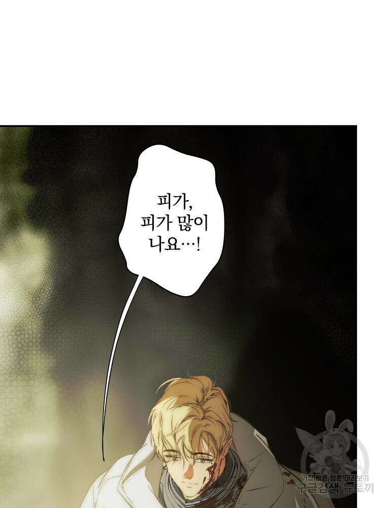 시크릿 레이디 1부 외전 잊혀진 이야기(1) 100
