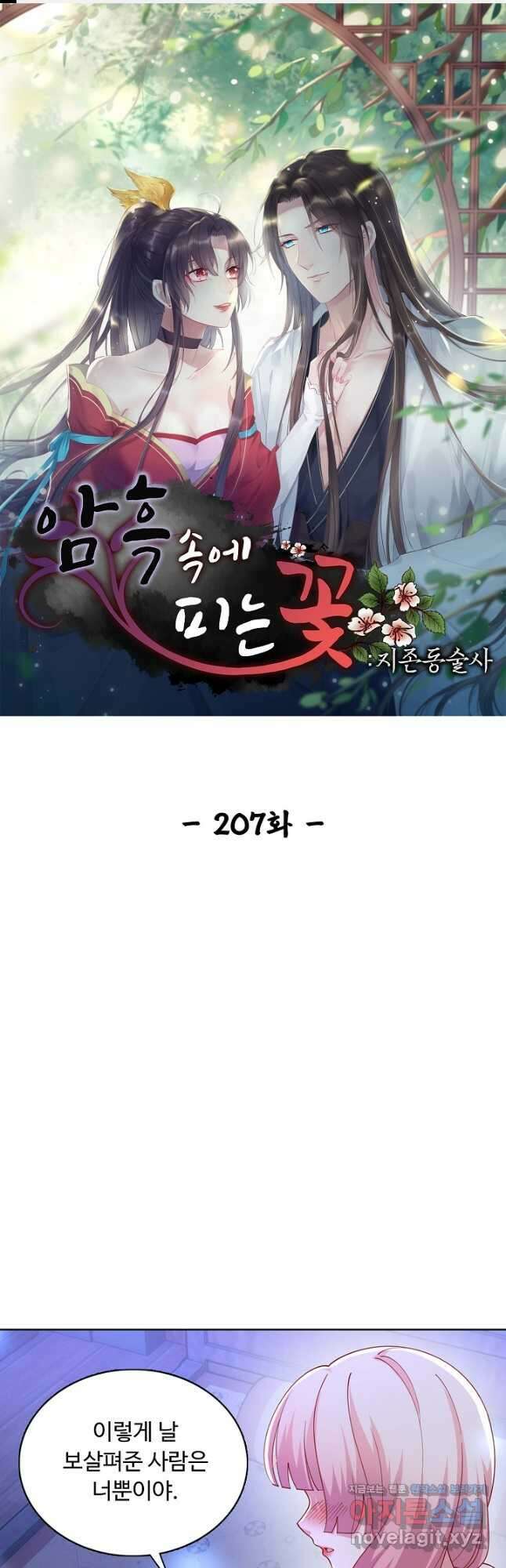 암흑 속에 피는 꽃 207화 휴재, 연재중단 1