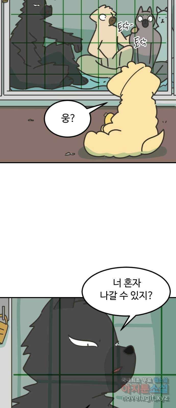 애구애구 19화 6