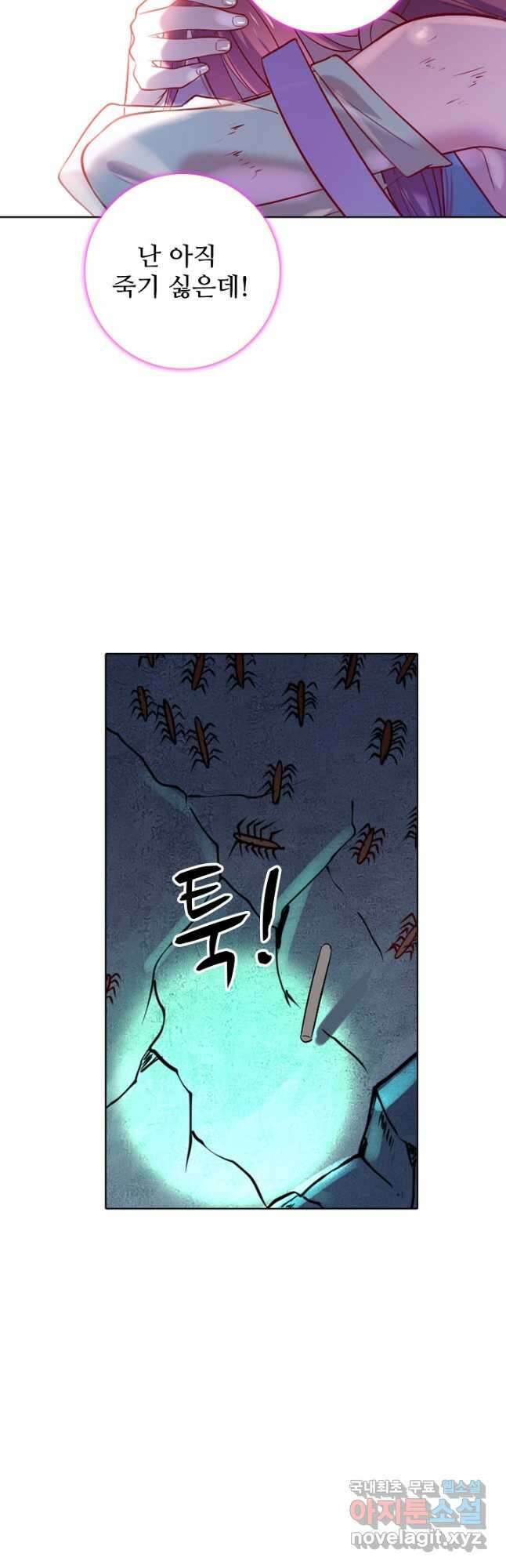 백련성신 900화 40