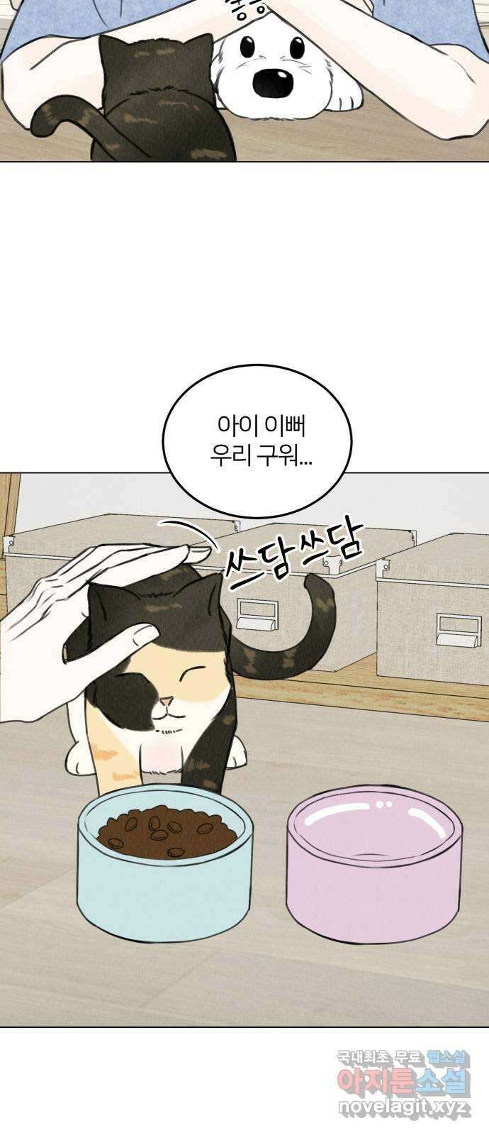우리 집 고양이 보고 갈래? 14화 11