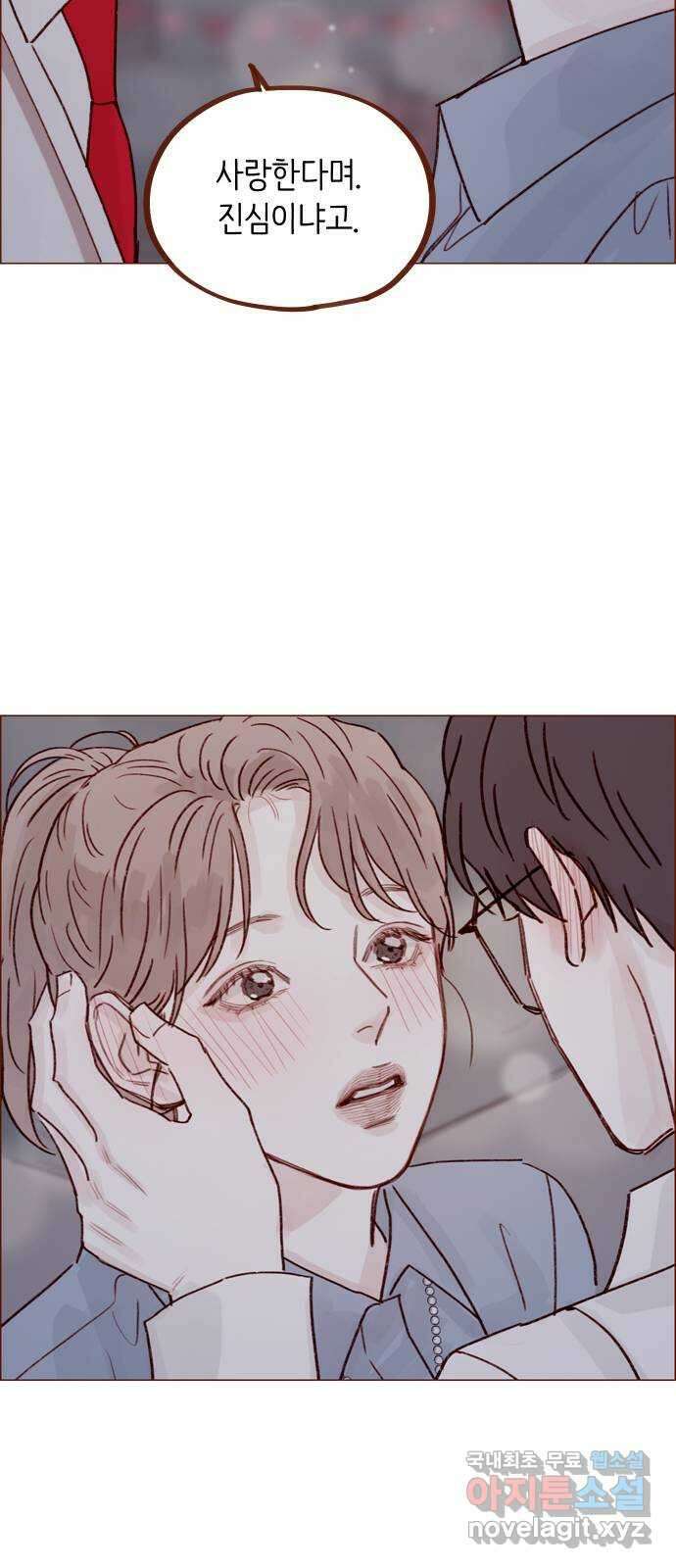 홍시는 날 좋아해! 239화 :  예쁘니까 건드리지 말라고 26