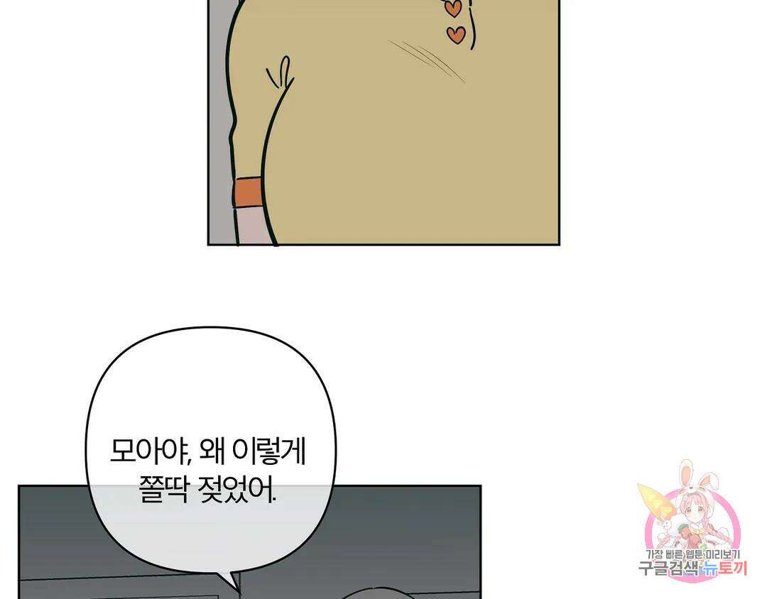 피치 소르베 69화 4
